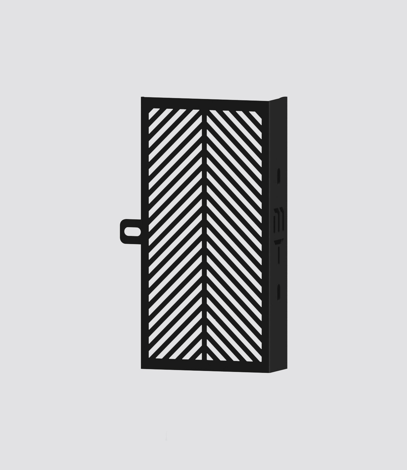 MOTO TORQUE XPULSE 200 4v - Radiator Guard