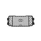 RADIATOR GUARD (MS) YAMAHA XSR 155